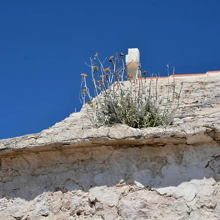 Lastin Dvor Rogoznica (Sibenik-Knin)