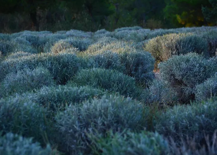 Lastin Dvor Guest house Rogoznica (Sibenik-Knin)