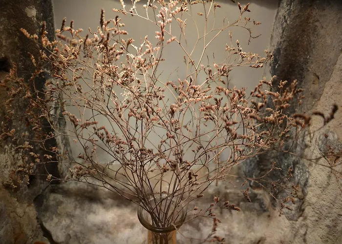 Gasthuis Lastin Dvor 3*